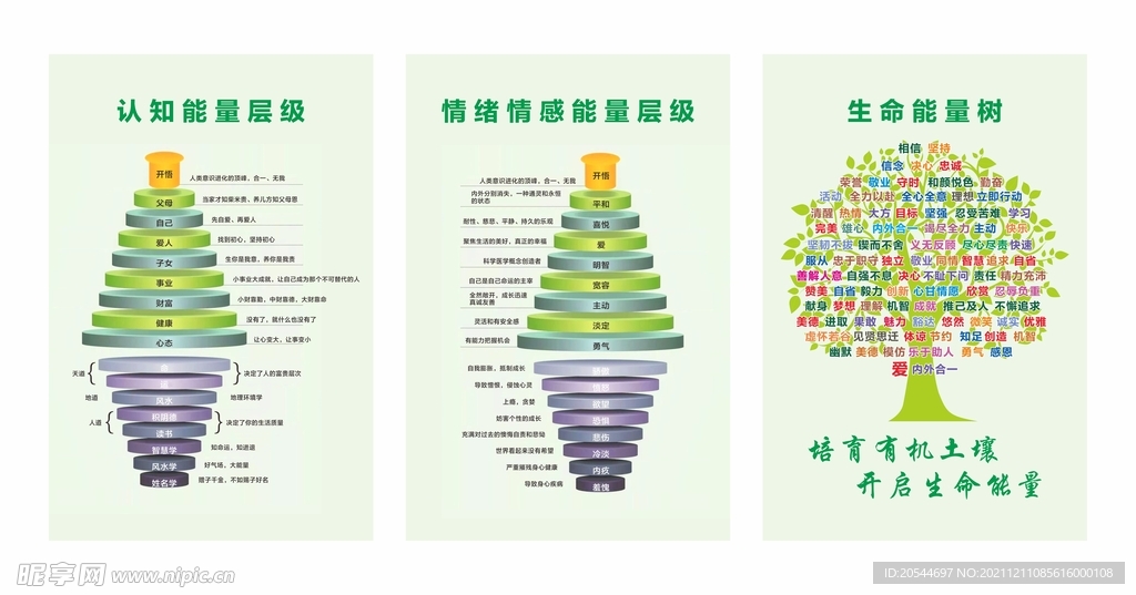 情绪情感能量层级  生命能量树