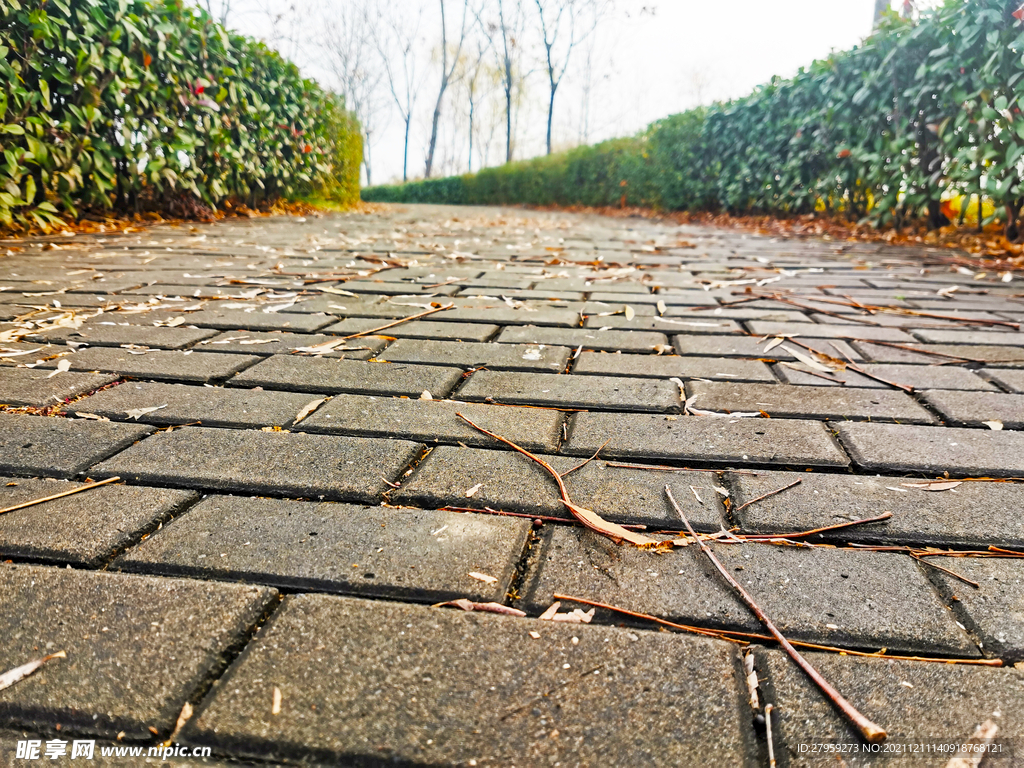 青砖步道