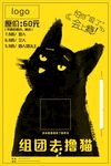 猫海报  猫咪店海报   