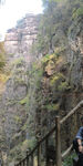 山