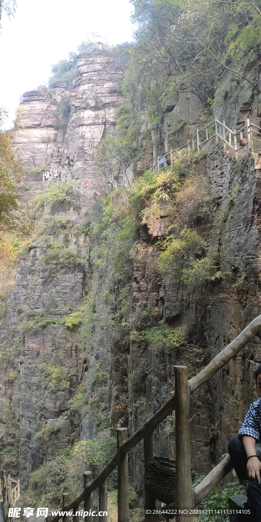 山