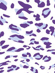紫色豹点