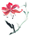 国画百花争艳