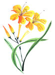 国画百花争艳 