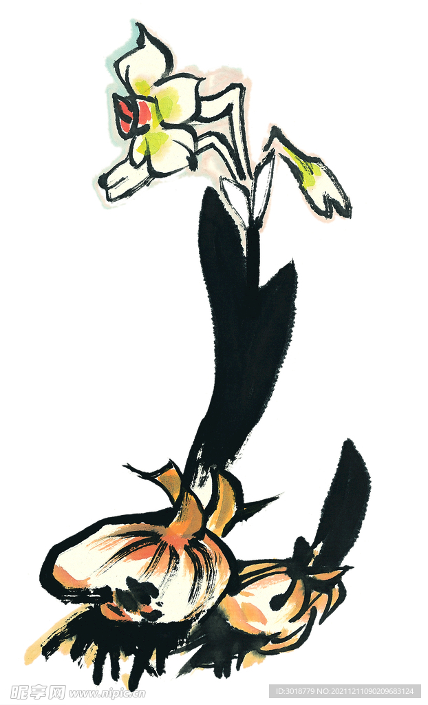 水仙花