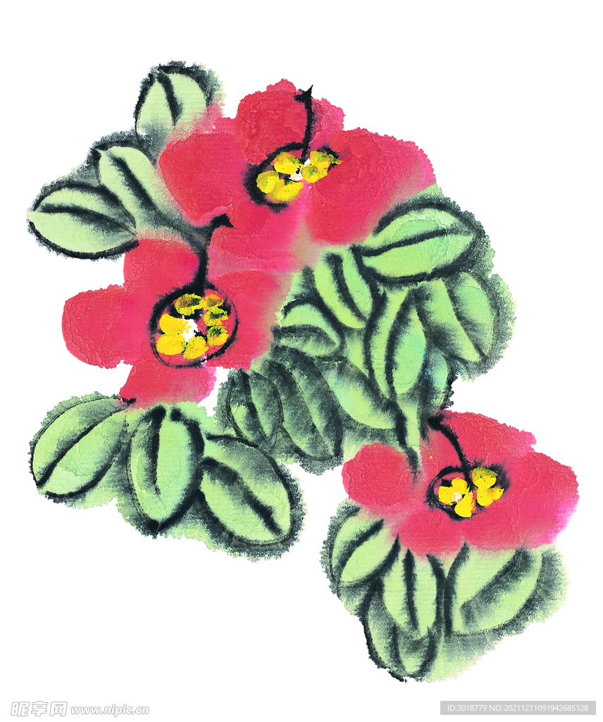 月季花