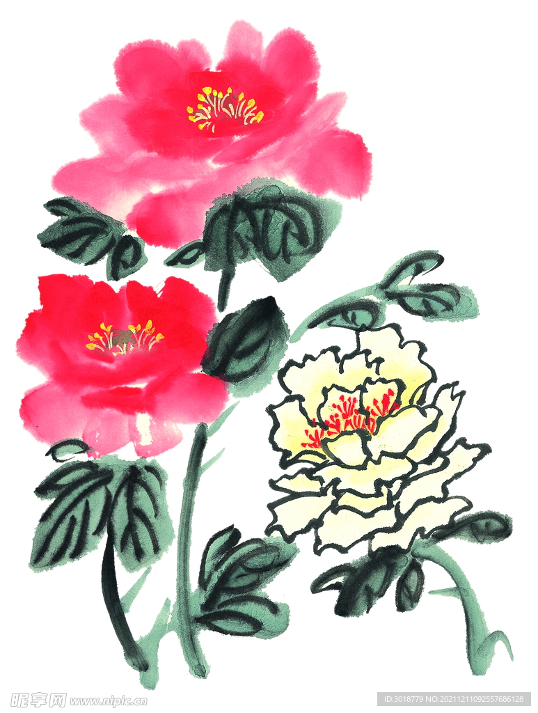 月季花