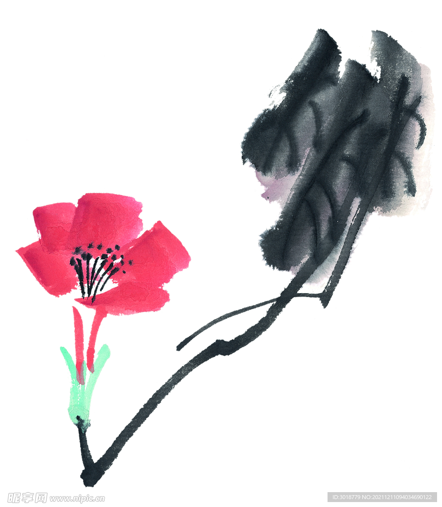 牵牛花