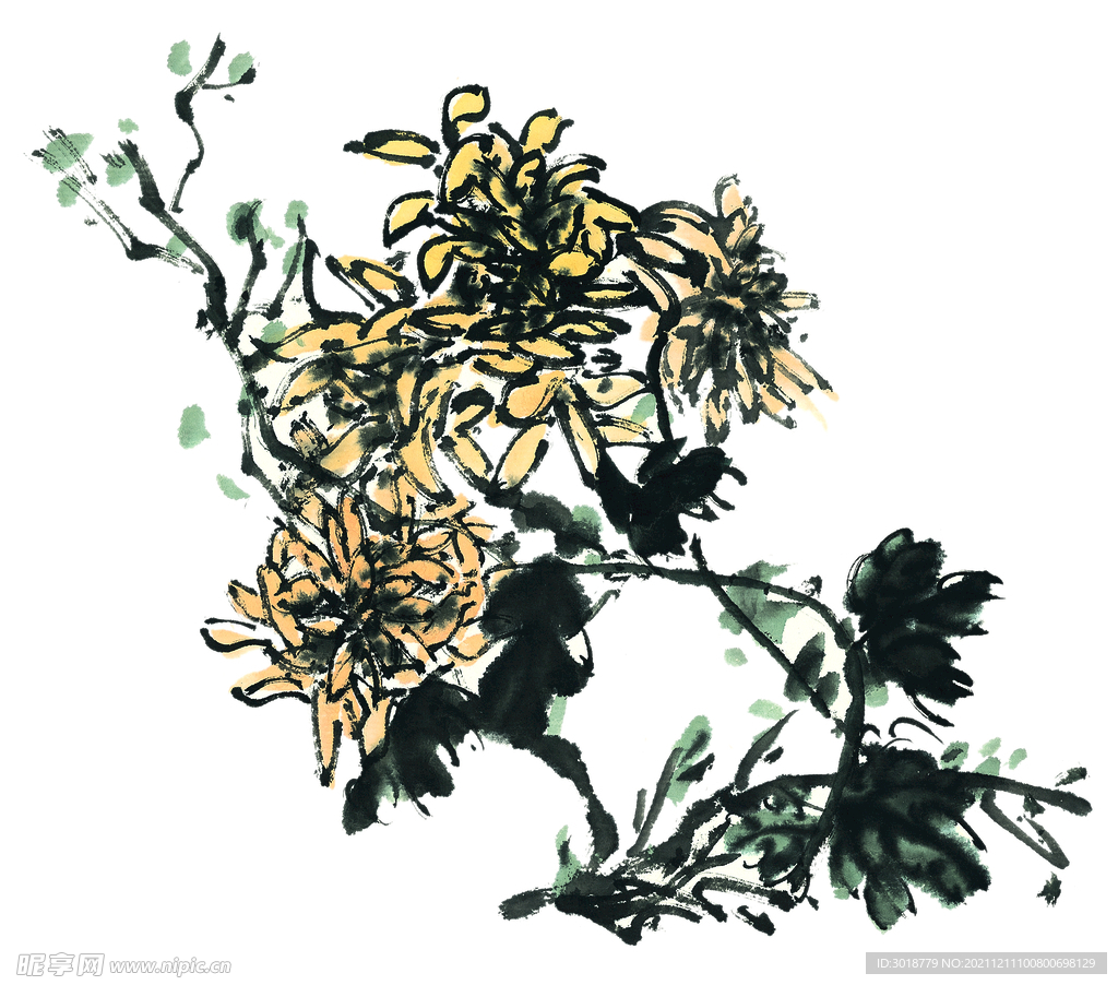 菊花