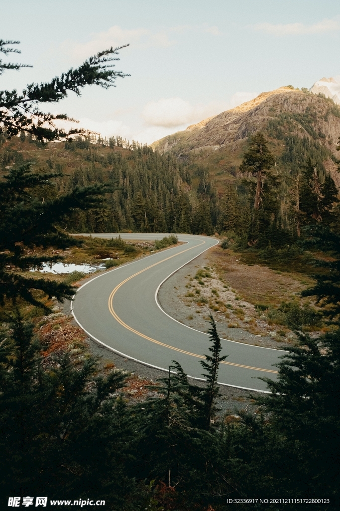 马路