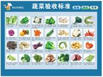 蔬菜验收标准