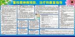 重性精神病预防