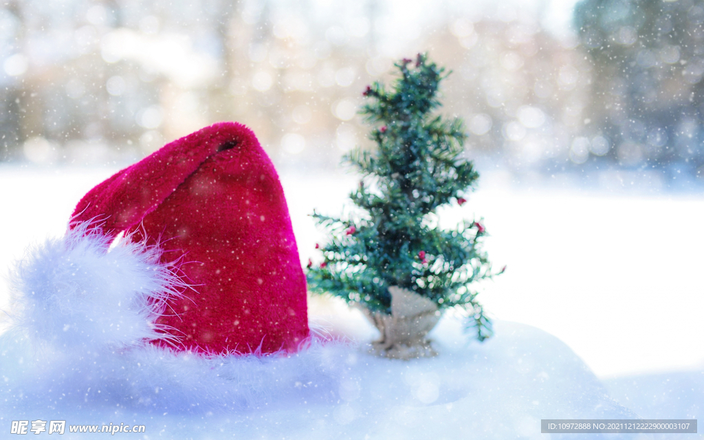 冬季 雪花 结晶 雪白色 下雪