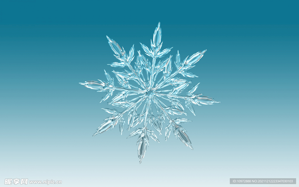 冬季 雪花 结晶 雪白色 下雪