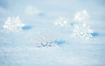 冬季 雪花 结晶 雪白色 下雪