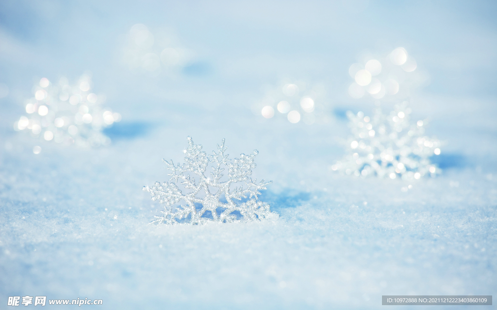 冬季 雪花 结晶 雪白色 下雪