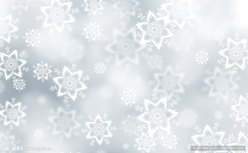 冬季 雪花 结晶 雪白色 下雪