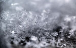 冬季 雪花 结晶 雪白色 下雪