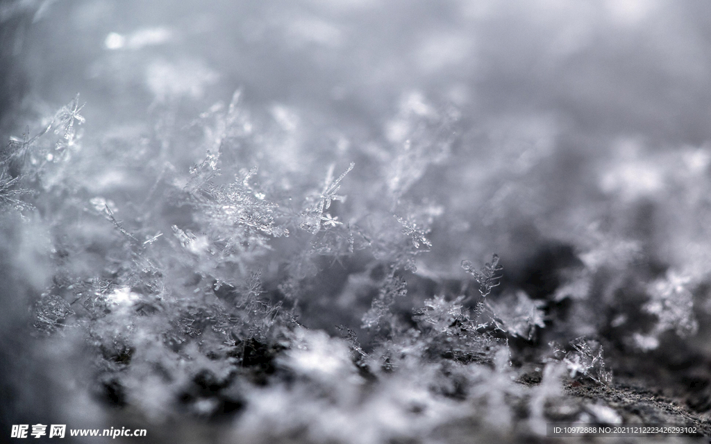 冬季 雪花 结晶 雪白色 下雪