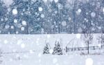 冬季 雪花 结晶 雪白色 下雪