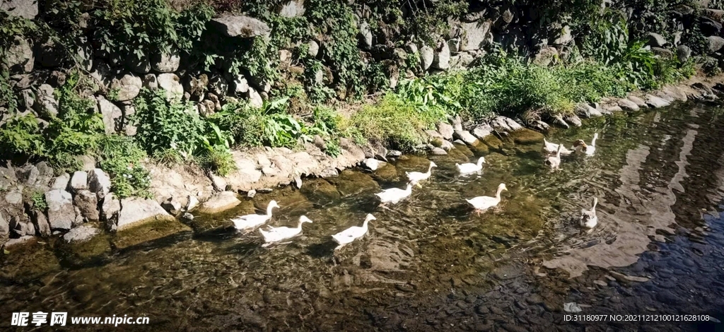 江南水乡