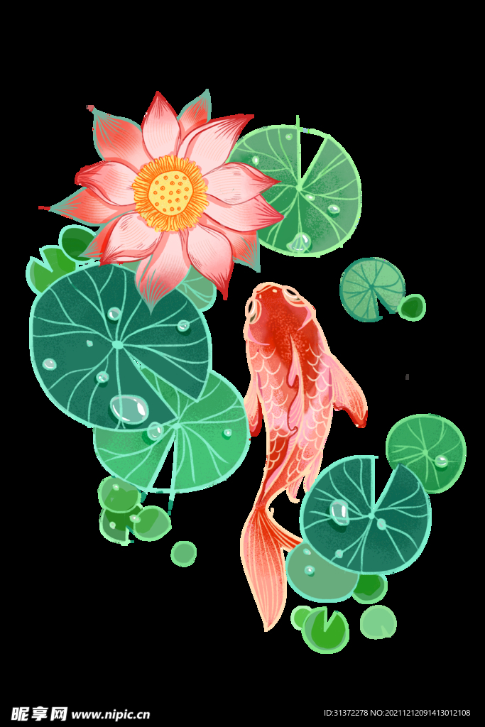 锦鲤元素图片