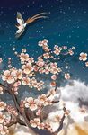 花鸟背景