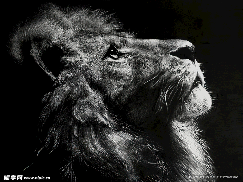 思索中的狮子