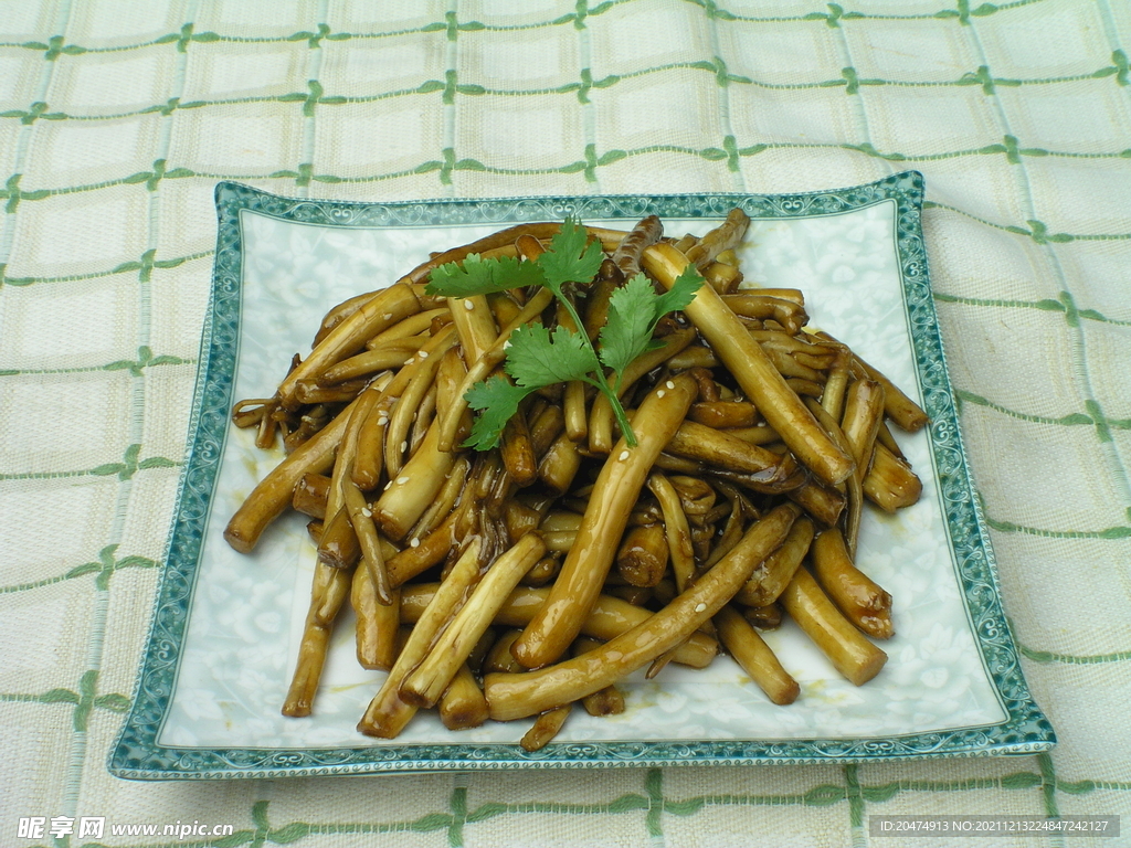 茶树菇