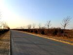 日暮下的道路风景