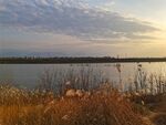 日暮下的河道风景