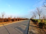 美丽的乡村道路风景