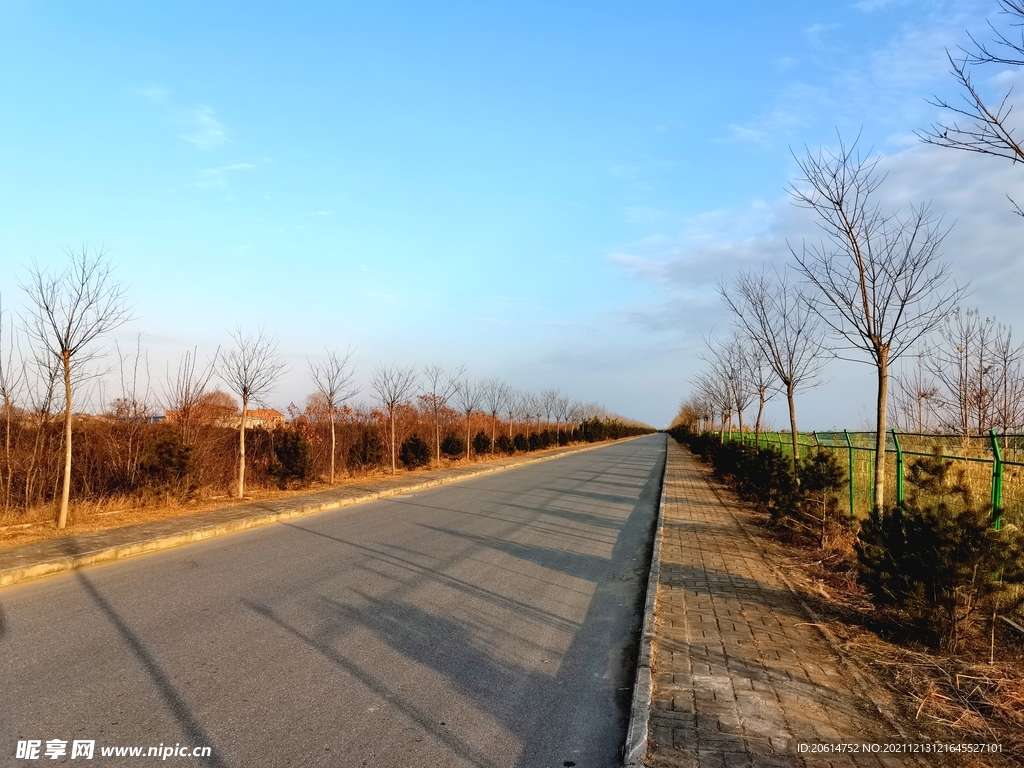 美丽的乡村道路风景