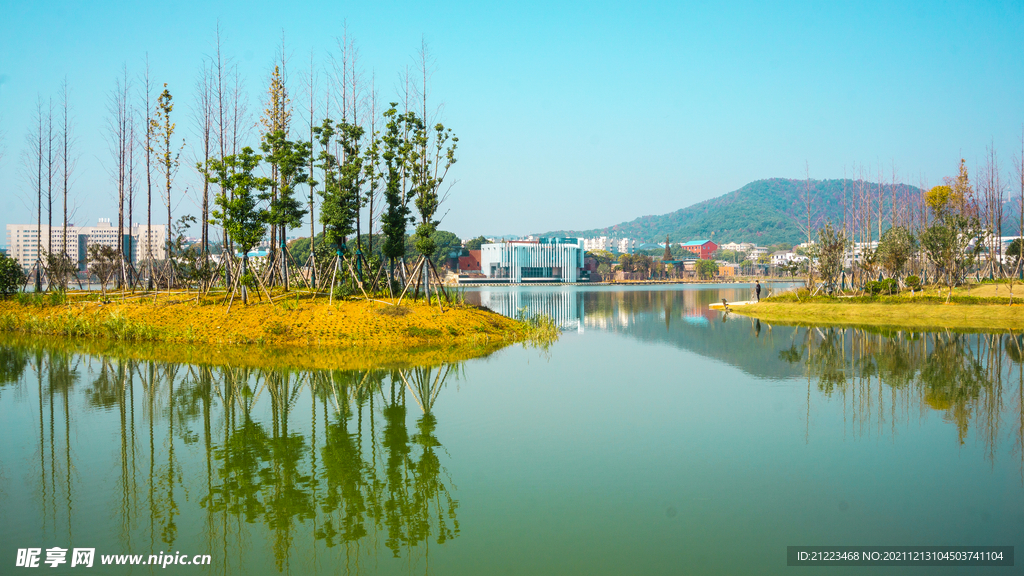 后湖风采