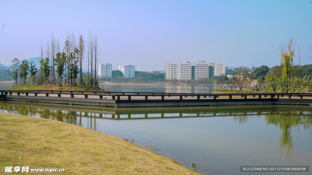 后湖远眺