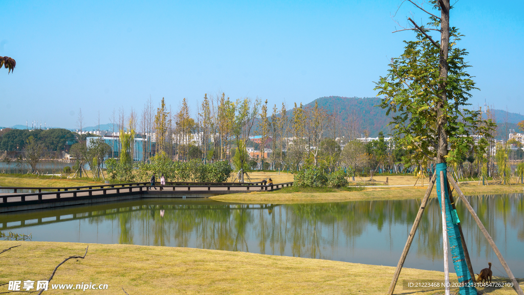 后湖公园