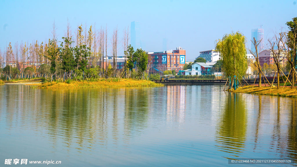 后湖风景