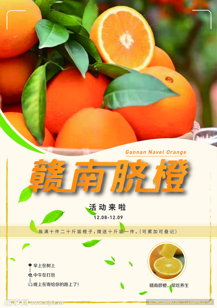 赣南脐橙宣传单海报