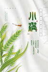 小满