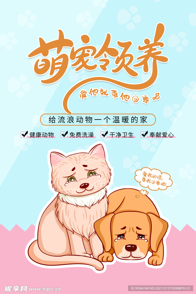 萌宠领养