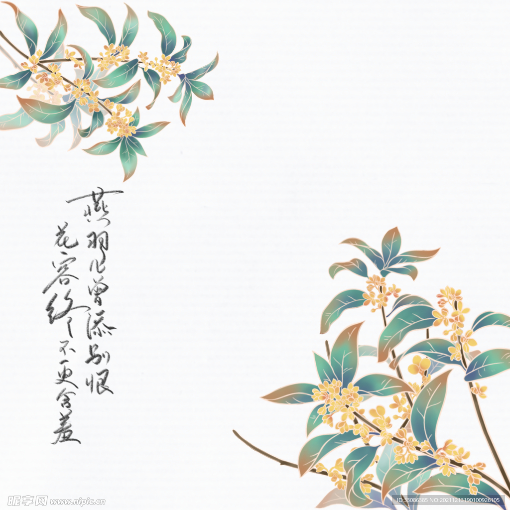 国风插画桂花素材
