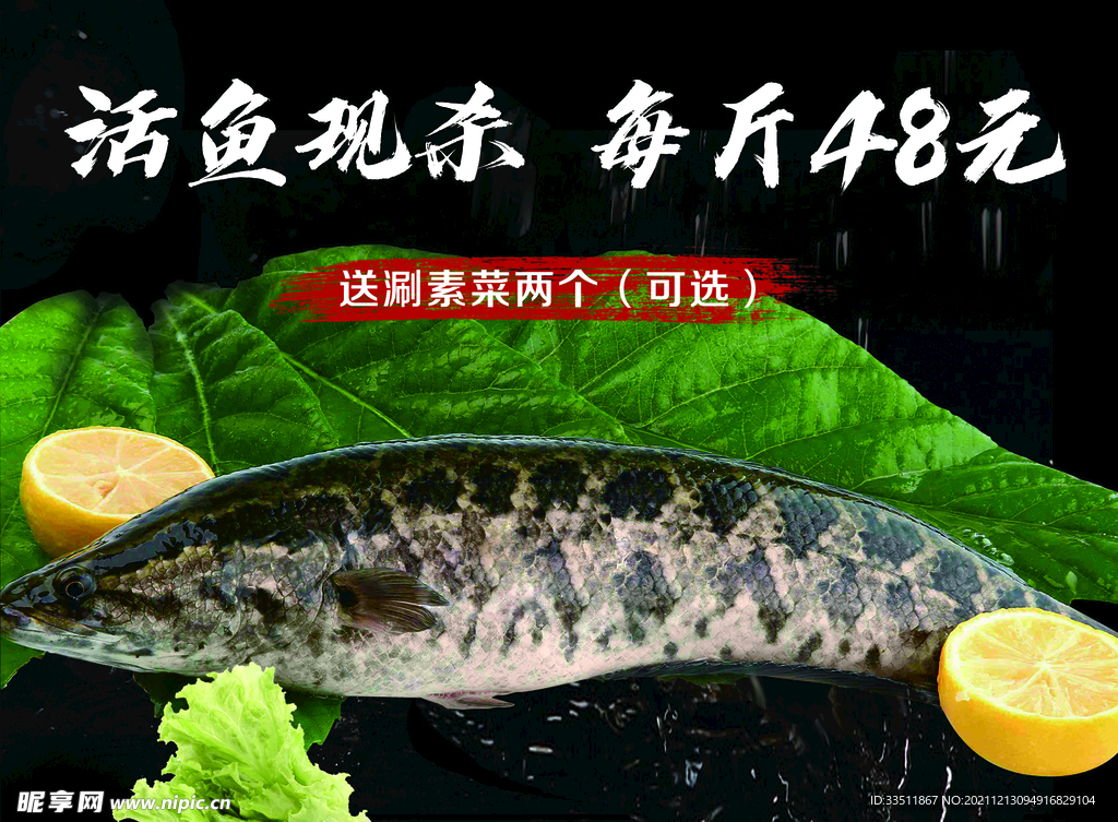 黑鱼餐饮宣传海报