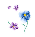 花瓣