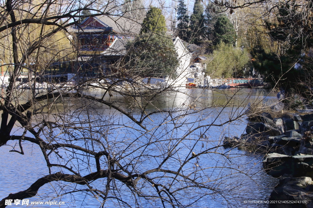 大观园风景 