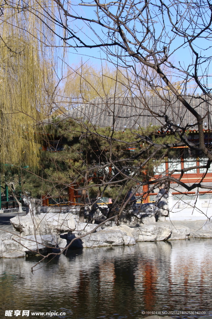 大观园风景 