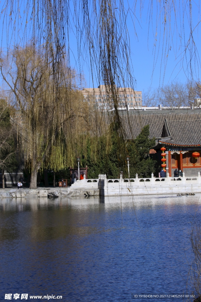 大观园风景