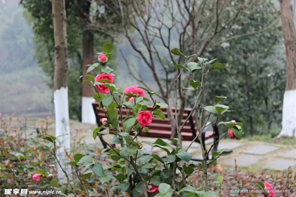 风景