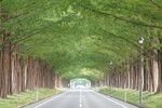 街道