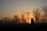 夕阳西下 断肠人在天涯