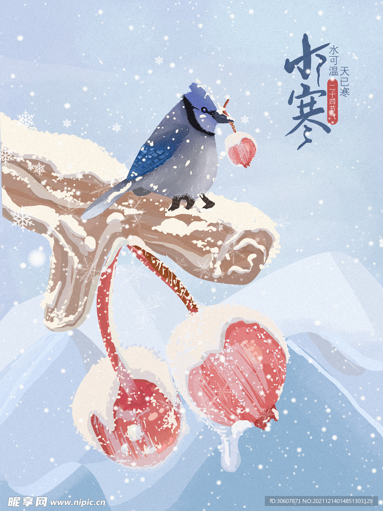 小寒插画
